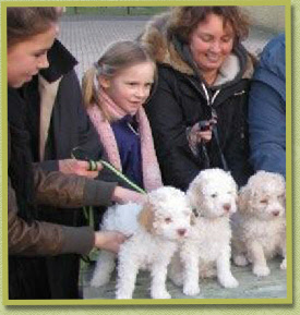 Genieten van het uitje met de pupjes