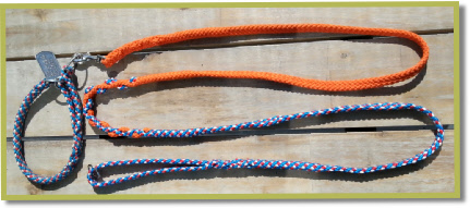 Nog een roodwitblauwe lijn met het oranje en bijpassende halfslip halsband