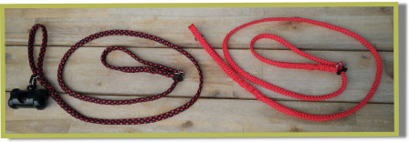 Twee halfslip halsband lijnen van 150 cm lengte in zwart/rood en rood voor Asanova's Lovely Aphra & Asanova's Buchanan