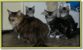 The whole family together